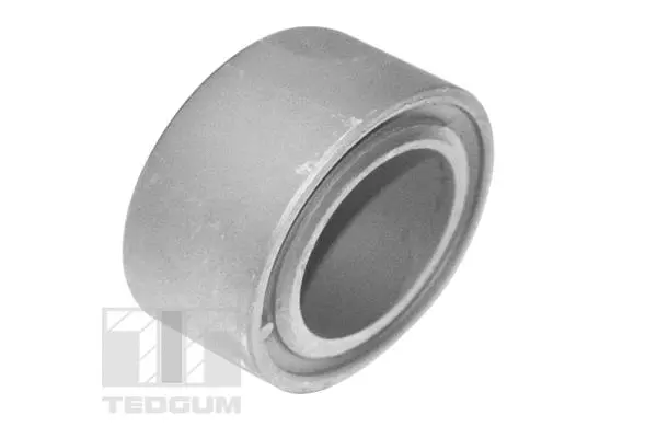 Mounting, control/trailing arm (00586060)