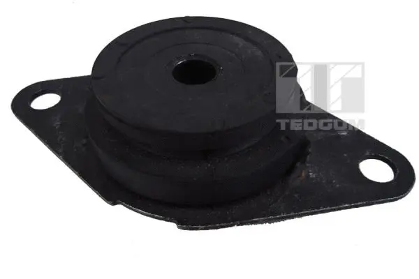 Mounting, engine (00581751)