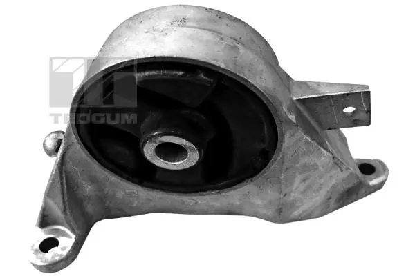 Mounting, engine (00505933)