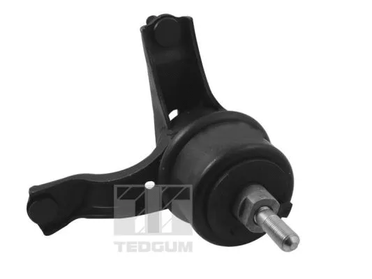 Mounting, engine (TED94424)
