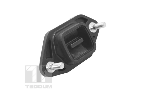Mounting, engine (TED14845)