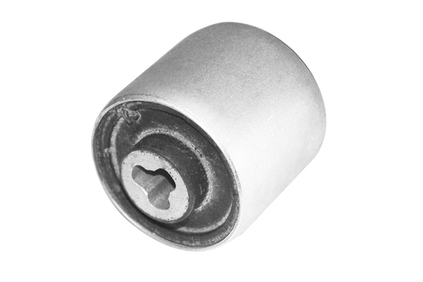 Mounting, control/trailing arm (TED58282)