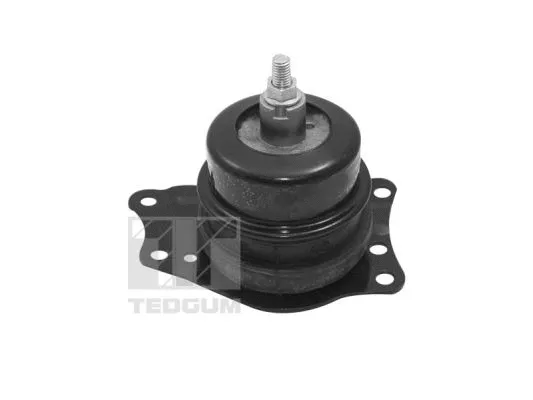 Mounting, engine