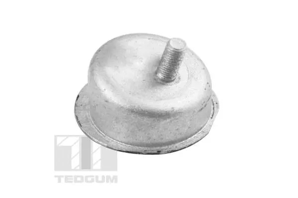 Mounting, engine (TED43629)