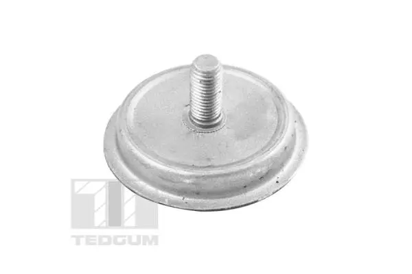Mounting, engine (TED28942)