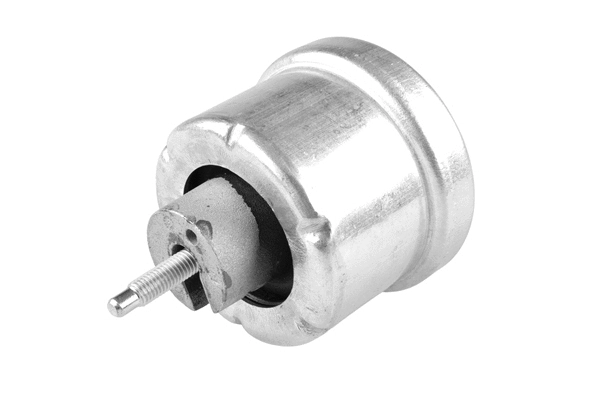 Mounting, engine (00504642)