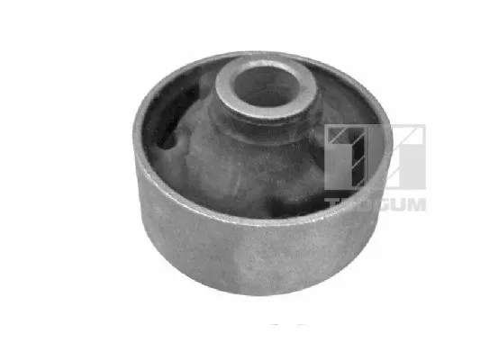 Mounting, control/trailing arm (00448130)