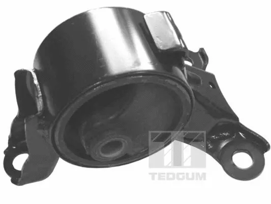 Mounting, engine (00264829)