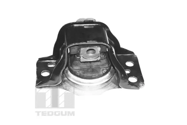 Mounting, engine (TED59889)