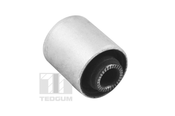 Mounting, control/trailing arm (00132869)