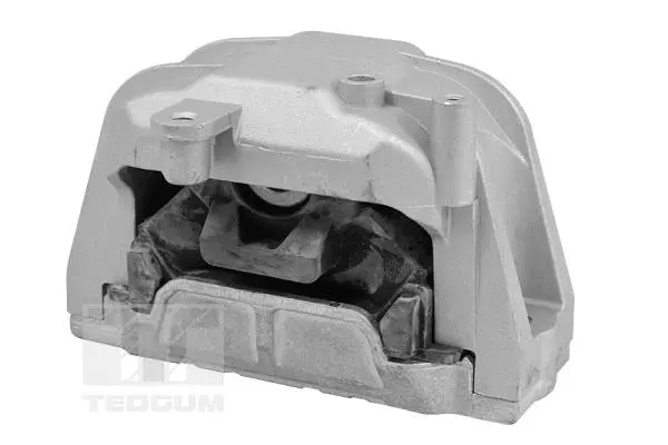 Mounting, engine (TED98366)
