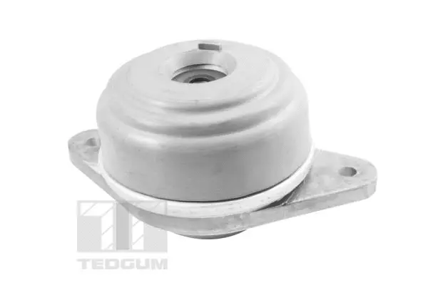 Mounting, engine (TED37501)