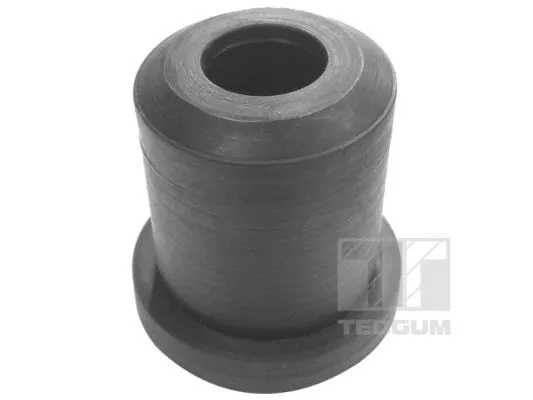 Mounting, leaf spring (00465811)