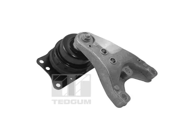 Mounting, engine (00729405)