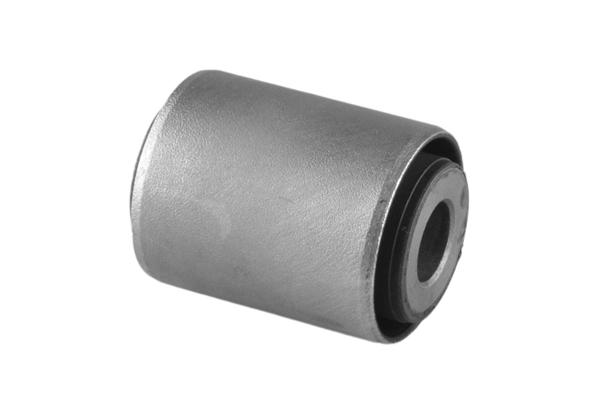 Mounting, control/trailing arm (TED42046)