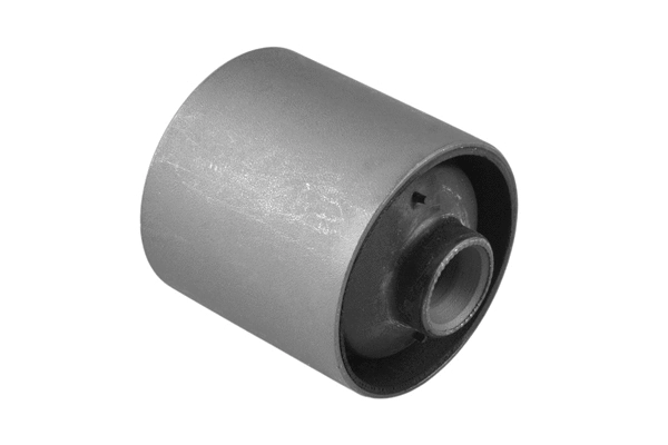 Mounting, control/trailing arm (00659932)