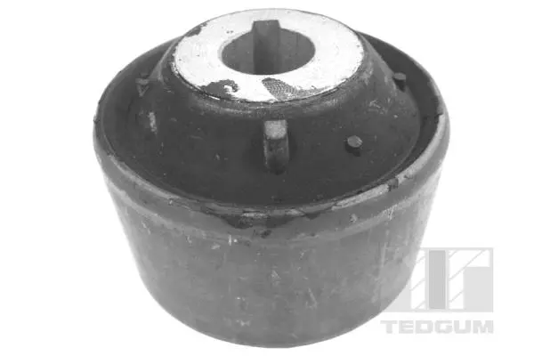 Mounting, control/trailing arm (00723431)