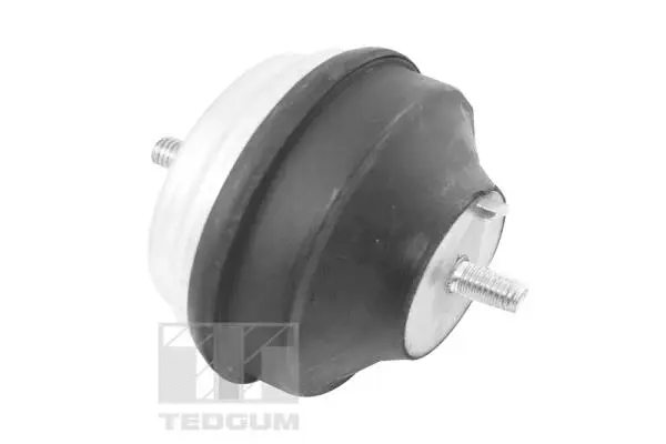 Mounting, engine (00504650)