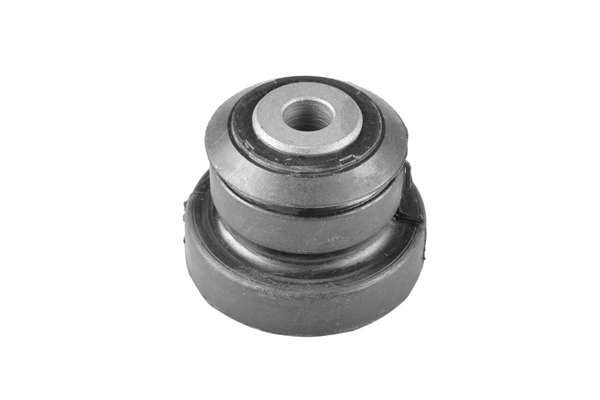Mounting, control/trailing arm (00024797)