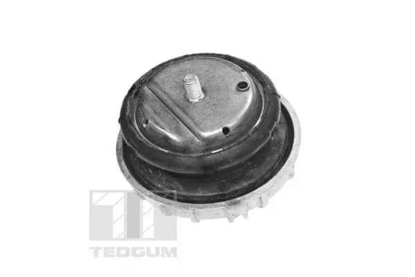Mounting, engine (TED57477)