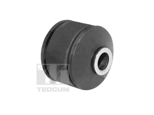 Mounting, control/trailing arm (TED19869)