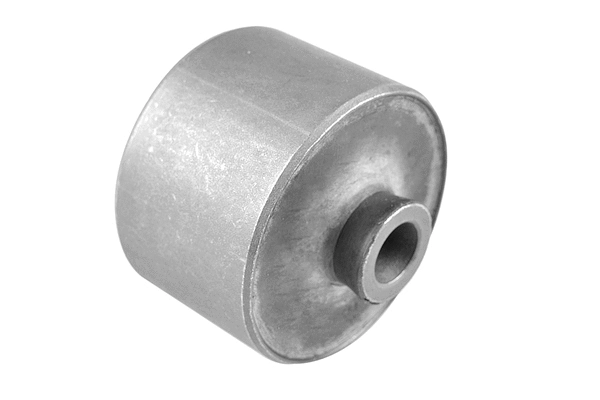 Bushing, axle beam (00505404)