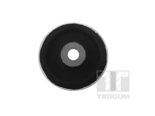 Mounting, control/trailing arm