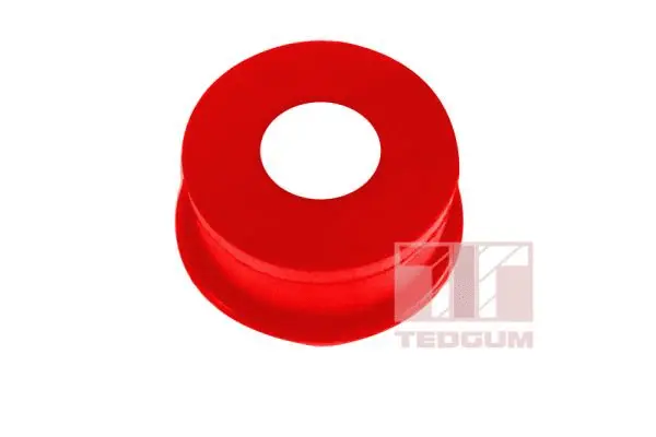 Mounting, leaf spring (00468030)