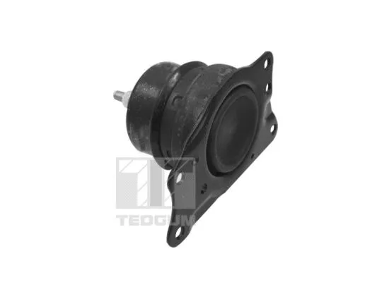 Mounting, engine