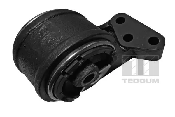 Mounting, engine (00747972)