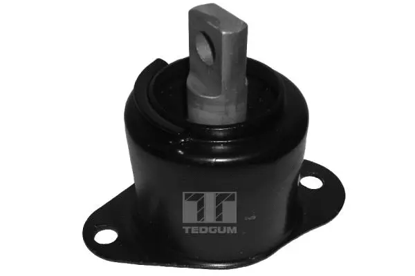 Mounting, engine (00260934)