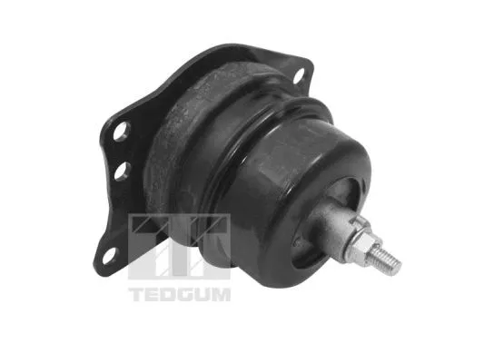 Mounting, engine (TED40385)