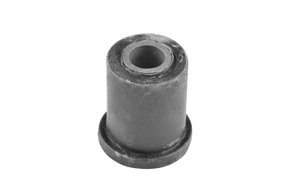 Mounting, leaf spring (00220335)