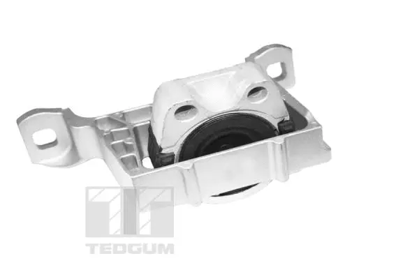 Mounting, engine (TED12824)