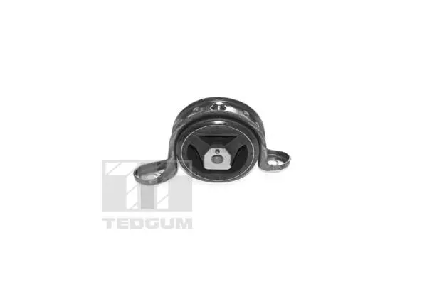 Mounting, engine (00500611)