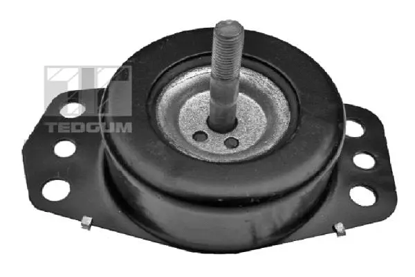 Mounting, engine (00505737)