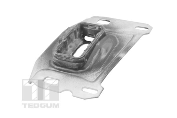 Mounting, engine (TED41199)