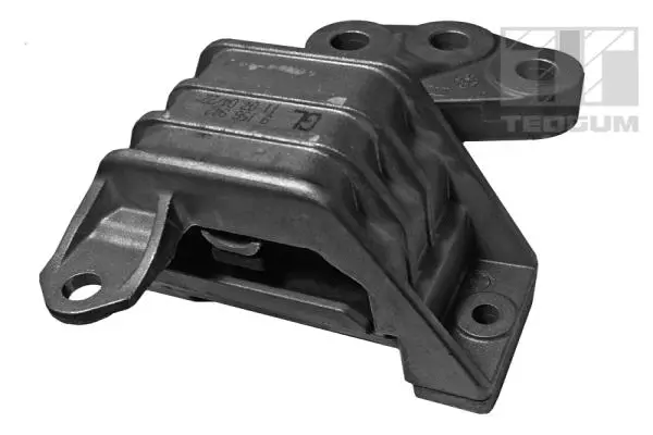 Mounting, engine (00507909)