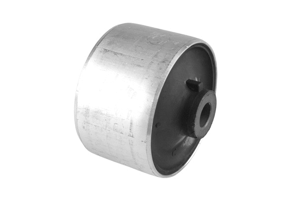 Mounting, control/trailing arm (TED58102)