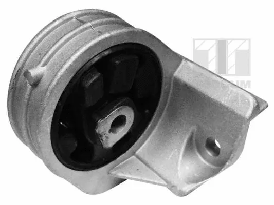 Mounting, engine (00585856)