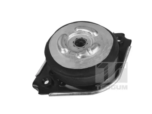 Mounting, engine (00418536)