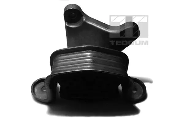 Mounting, automatic transmission support (00725744)