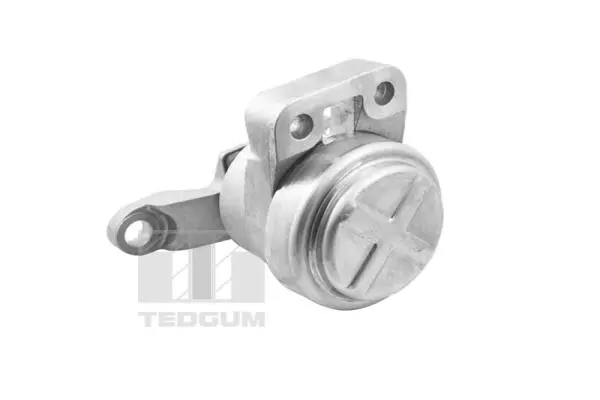 Mounting, engine (TED36070)