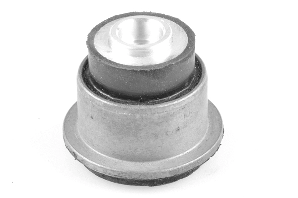 Bushing, axle beam (00581387)