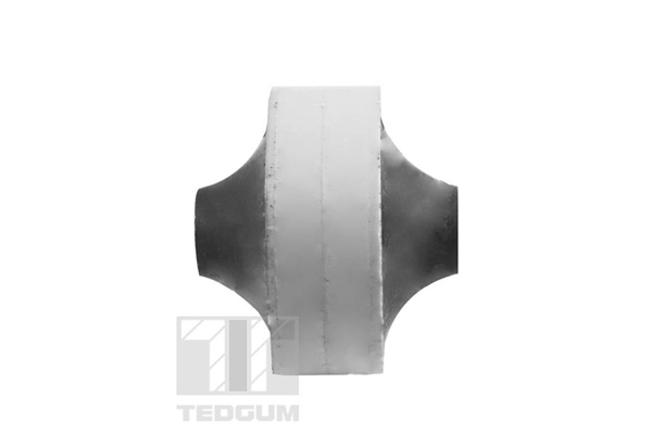 Mounting, control/trailing arm