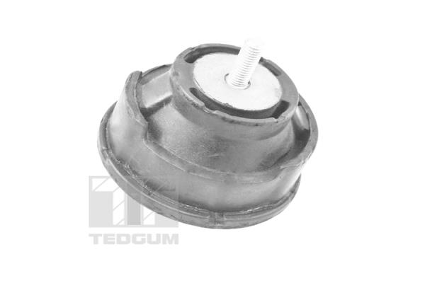 Mounting, engine (TED12723)