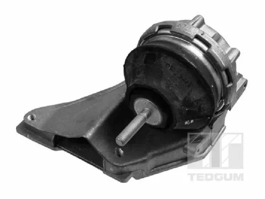 Mounting, engine (00055597)
