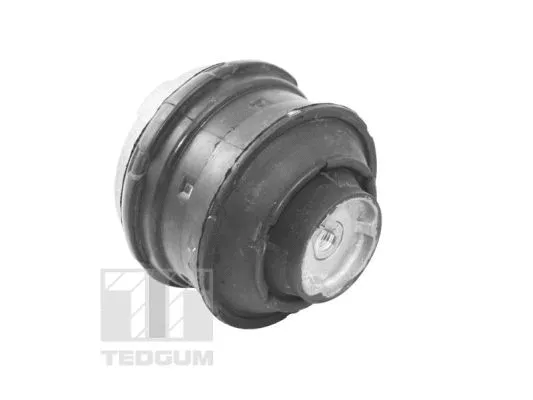 Mounting, engine (TED81021)