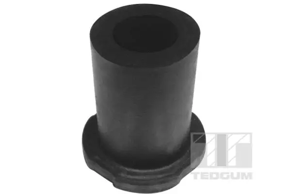 Mounting, leaf spring (00284896)