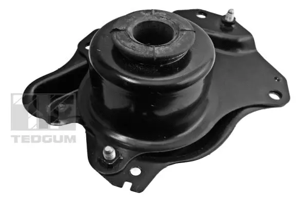 Mounting, engine (00727579)